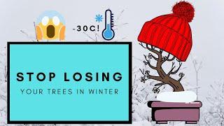 How to Overwinter Your Bonsai Trees