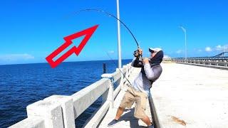 How to fish GROUPER at Skyway fishing Pier!! Grouper secrets