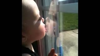Window licker