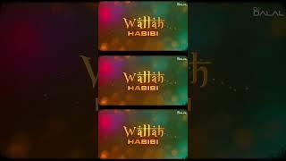 Wallah Habibi | Arabic Club Remix | Tiger S & Akhsay K | credit to : DJ Dalal London