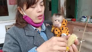 Monkey bobo followed his mother to the garden.