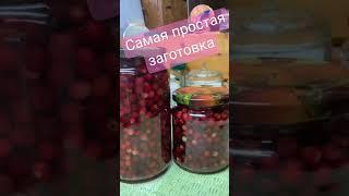 Самая простая заготовка #заготовканазиму #брусника #витамины #дарыприроды #жизньвдеревне