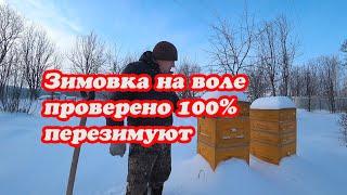 МОЙ ПРОВЕРЕННЫЙ МЕТОД ЗИМОВКИ ПЧЁЛ НА ВОЛЕ, ПЕРЕЗИМУЮТ 100%