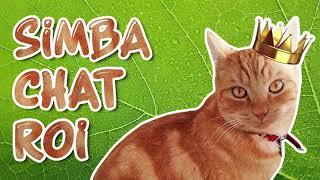 OMG! SIMBA CHAT ROI débarque sur YOUTUBE!  C'est Chat Ma Vie ! #1