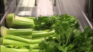 Food Cutting with Waterjet