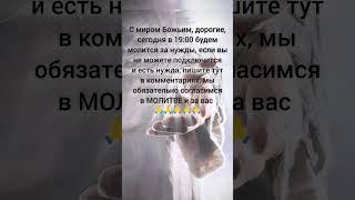 https://t.me/+F3J9hv1C5081YjIy