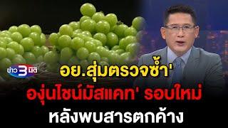 ข่าว3มิติ 28 ตุลาคม 2567 l อย.สุ่มตรวจซ้ำ 'องุ่นไชน์มัสแคท' รอบใหม่ หลังพบ 'สารคลอร์ไพริฟอส' ตกค้าง