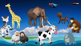 Animals Sounds Song | Best Animal Sound Song | Babies Song | Kids Song | English nursery rhythm