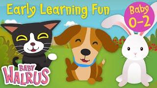 Early Learning Fun #6 | Pet Animals   Counting & Colors | Educational