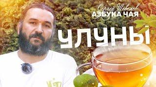 Китайский чай улун. Азбука Чая