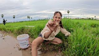 Catching Field Crabs From Paddy Field For A Special & Delicious Dish