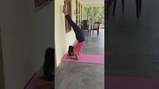 Advance Asana Practice #yogavideo #shorts #advanceasana #yoga️