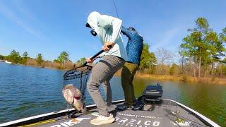 BIGGEST BASS I've EVER NETTED!!! (IT WAS HUGE)