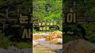  궁금해? 오색약수터 전격 분석!  Curious? Osaek Mineral Spring Fully Explored!