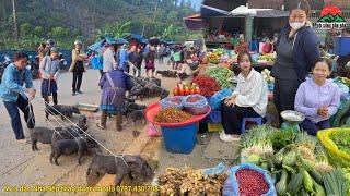 CHỢ PHIÊN MƯỜNG KHƯƠNG / bán toàn đồ lạ ,lợn bản chó mông bày bán la liệt .