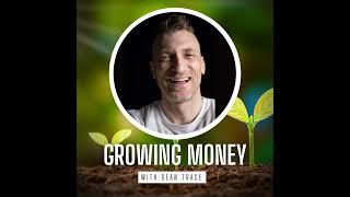 From Ashes to Abundance with Financial Phoenix Mary Huang | Growing Money with Sean Trace