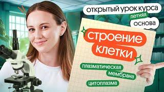 СТРОЕНИЕ КЛЕТКИ: плазматическая мембрана, цитоплазма | Открытый урок курса Летняя Основа