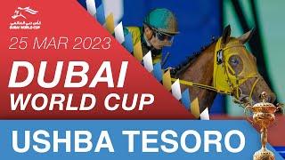 Dubai World Cup - 25/03/23 - Dubai World Cup sponsored by Emirates Airline - Ushba Tesoro