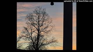 no tomorrow- John Birdie (Offical Audio)