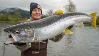 GIANT Steelhead Catch Clean Cook (Remote River Fishing Oregon)