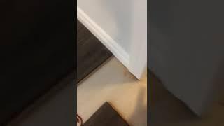 DIY Laminate install around door jams