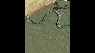 Titanoboa/The world biggest Snake skeleton/ #snake #facts #cobra #animals #nature