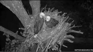 Decorah North Eagles ~ Mr North & DNF Visit Their New Nest!  10.13.24