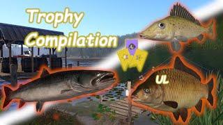 Trophy Compilation #3 - Russian Fishing 4