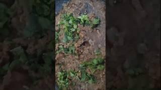 Hara Keema Recipe | Bakra Eid Special Recipe #shorts #viral