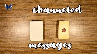  CHANNELED MESSAGES FROM YOUR PERSON  *pick a card* Timeless Tarot Reading 