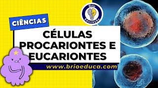 Ciências: As células procariontes e eucariontes | Brio Educação