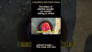 The effect of jellyfish powder on crucian fishing in winter