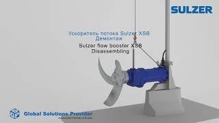 Sulzer flow booster XSB. Disassembling