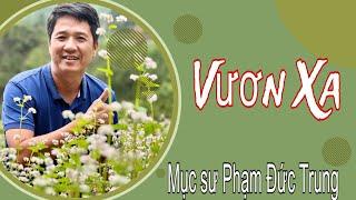 Mục Sư Phạm Đức Trung | vươn xa | Hội Thánh Nguồn Phước