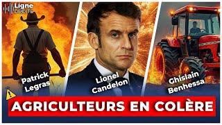 Macron face à la colère des agriculteurs : "on n'en veut pas de son Mercosur !"