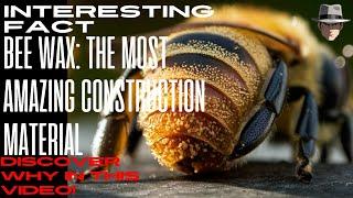 BEE_WAX: The Most AMAZING_CONSTRUCTION_MATERIAL #CuriosityCorner #BeeWax