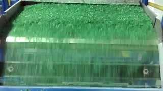 Techno Plast Factory For Plastic Recycling ( PET )‏‏