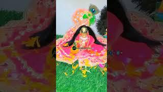 Man Basia Laddu Gopal Babu #shortvideo #laddugopal#youtubeshorts #arkradhekrishna#bankebihari