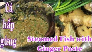 Cá hấp gừng( Steamed Fish with Ginger Paste)如何自制蒜茸蒸鱼 món ăn vừa lạ vừa ngon cho gia đình