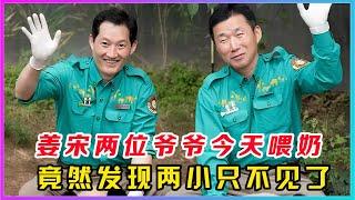 一觉醒来爱宝乐园的天塌了，到处充彻着火药味，一整天可谓是熊事不断。了，两位爷爷准备在内场给双胞胎喂奶，姜爷爷走到外场定睛一看，猫咋不见了！原来是睿辉竟然偷偷躲到了餐桌底下，辉宝闻着奶香味第一个冲出来