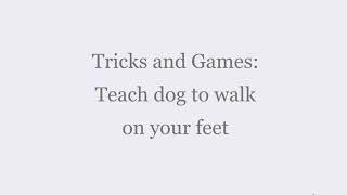 Daily Challenge: Teach Dog To Walk On Your Feet