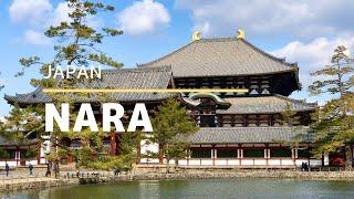 Top 4 Places To Visit In Nara | Japan Travel Guide