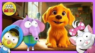 Meraklı Köpek  Kral Şakir Mini #çocukşarkıları #animasyon #kralşakir