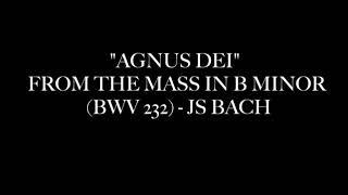 Danilo Del Tufo, classical guitar : "AGNUS DEI"  FROM THE MASS IN B MINOR (BWV 232) - JS BACH