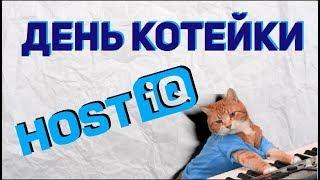 Скидка на хостинг в честь Дня котейки | HOSTiQ