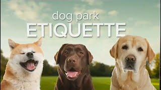 Proper Dog Park Etiquette