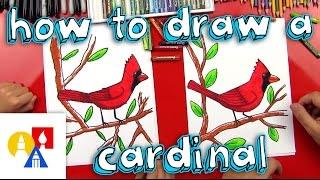 How To Draw A Cardinal