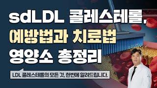 sdLDL 콜레스테롤 해결 방법 7가지 총정리(콜레스테롤 3편 마지막)