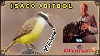 ️​ ️​ ISACO ABITBOL ️​ ️​ "EL PITOGUE" ️​ ️​ CLASICOS DEL CHAMAME...!!!!!️​ ️​