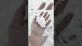 Я 1 тип, а вы?) #ви_лучшая #аниме #блэкпинк #виола #кпоп #лалисаманобан